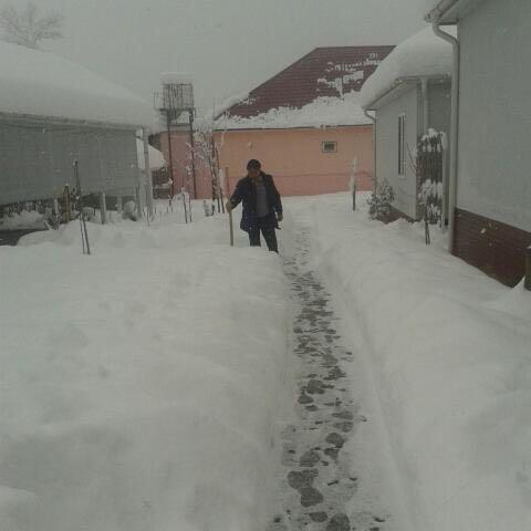 Gabala Homes Musa Luaran gambar