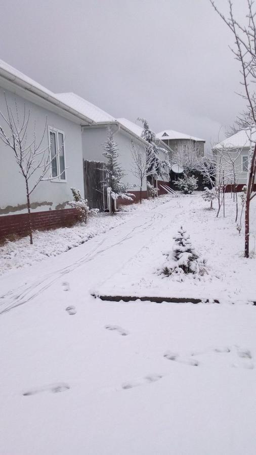 Gabala Homes Musa Luaran gambar